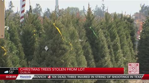 Christmas trees stolen from Dublin tree lot